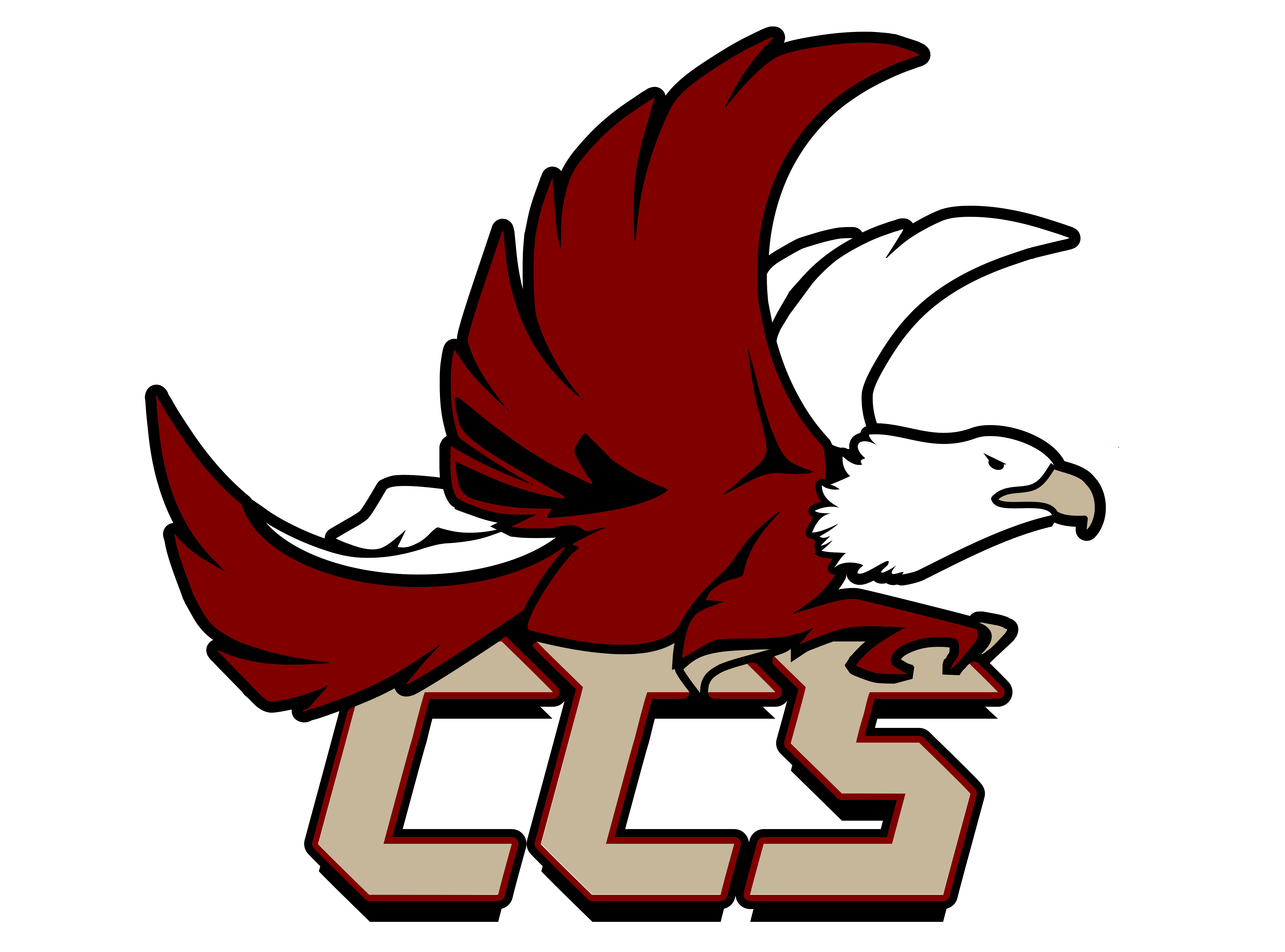 eagle basketball