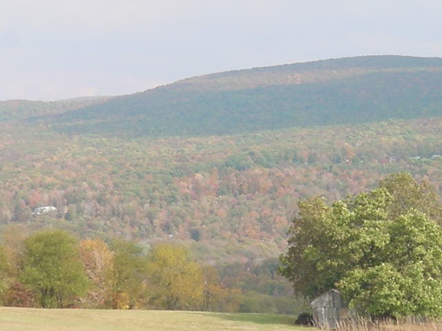 Mt View Rd 2.jpg (54102 bytes)